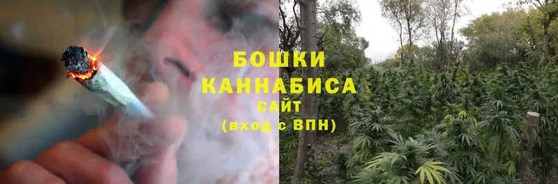 закладки  Кувандык  МАРИХУАНА SATIVA & INDICA 